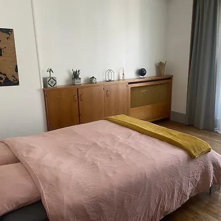 Spacieux Cosy Centre !!! * Épinal