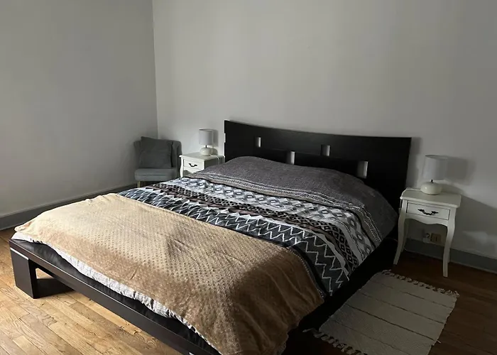 Spacieux Cosy Centre !!! * Épinal